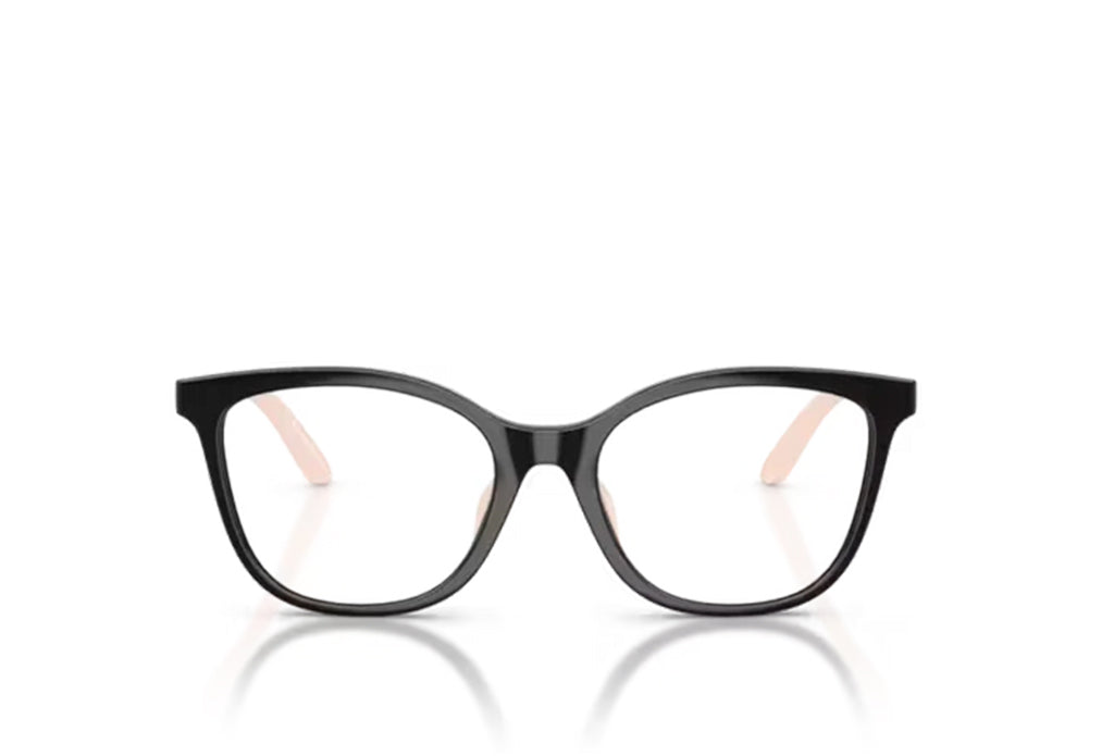 Emporio Armani 3011U Spectacle
