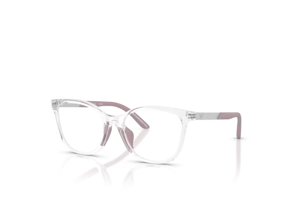 Emporio Armani 3011U Spectacle