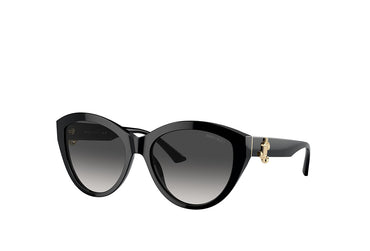 Jimmy Choo 5007 Sunglass
