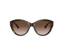 Load image into Gallery viewer, Jimmy Choo 5007 Sunglass