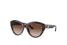 Load image into Gallery viewer, Jimmy Choo 5007 Sunglass