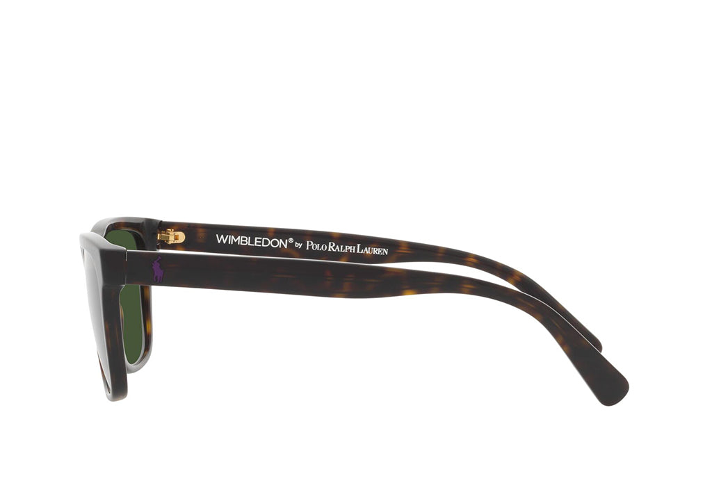Polo Ralph Lauren 4167 Sunglass