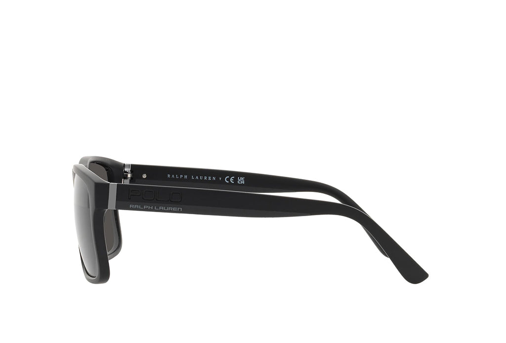 Polo Ralph Lauren 4195U Sunglass