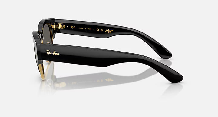 Ray-Ban 0316S Sunglass