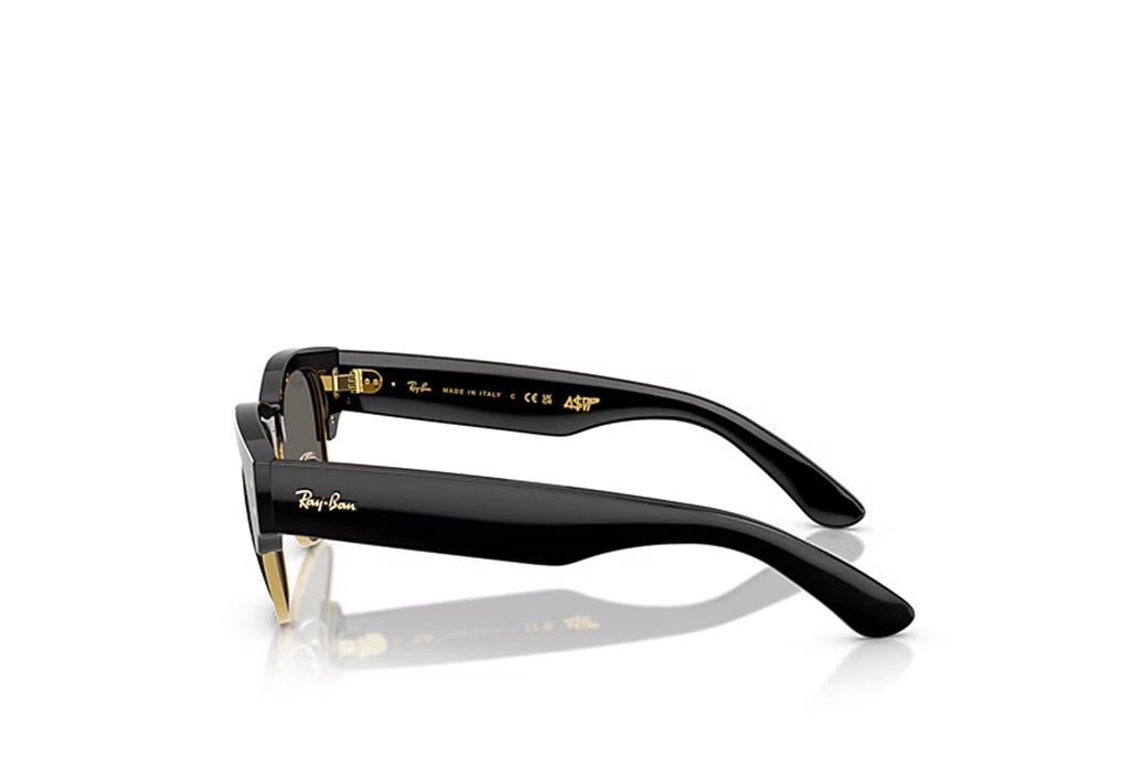 Ray-Ban 0316S Sunglass