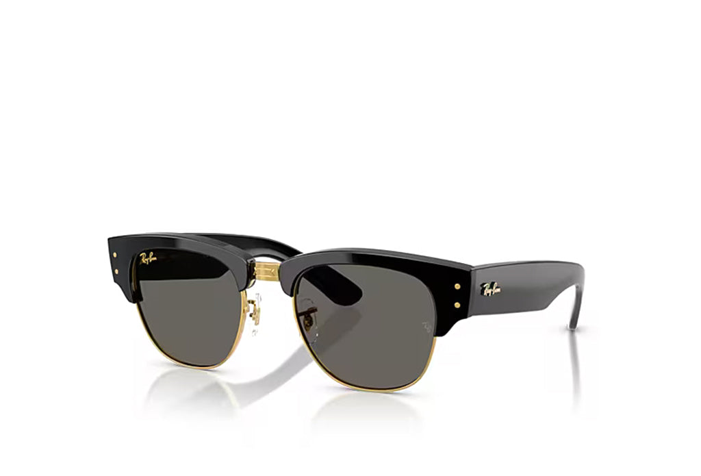 Ray-Ban 0316S Sunglass