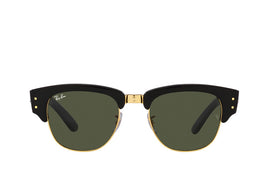 Ray-Ban 0316S Sunglass
