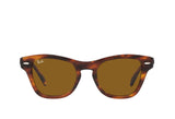 Ray-Ban 0707S Sunglass