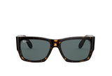 Ray-Ban 2187 Sunglass