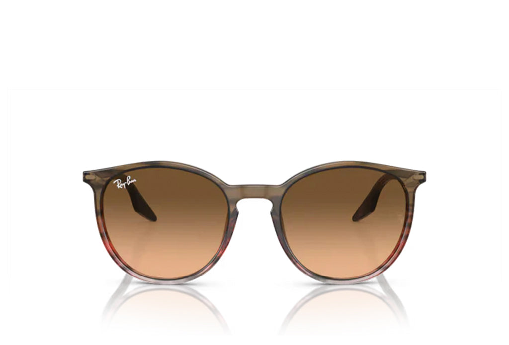 Ray-Ban 2204 Sunglass