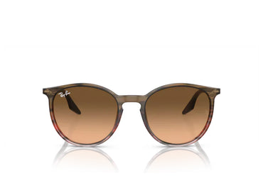 Ray-Ban 2204 Sunglass