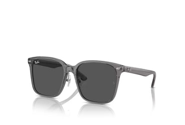 Ray-Ban 2206 D Sunglass