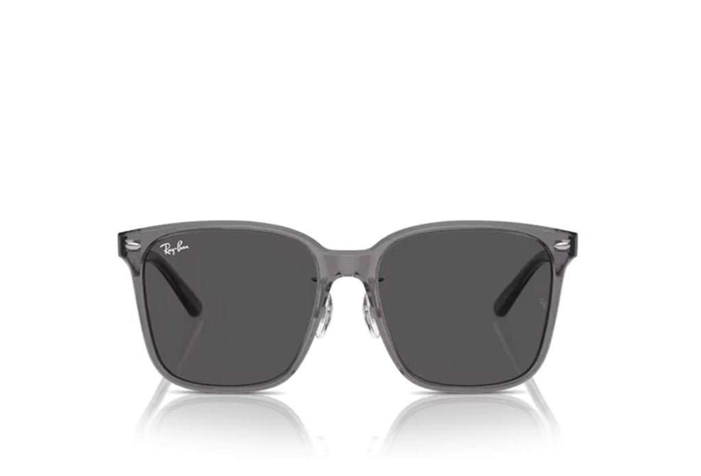 Ray-Ban 2206 D Sunglass