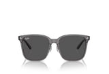 Ray-Ban 2206 D Sunglass