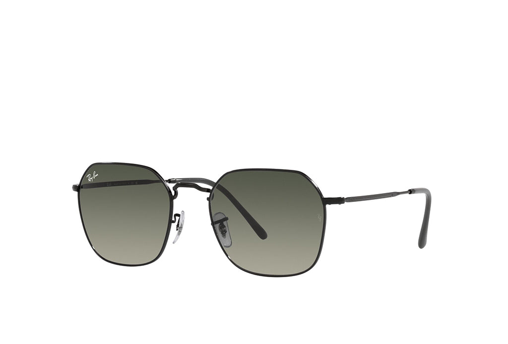 Ray-Ban 3694 Sunglass