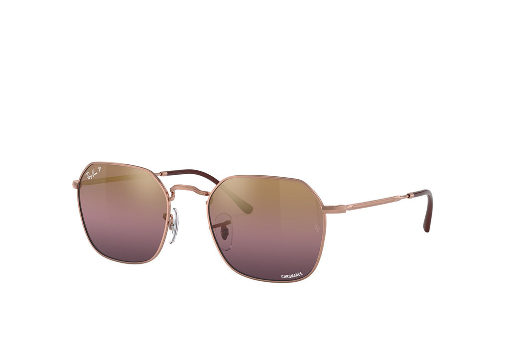 Ray-Ban 3694 Sunglass