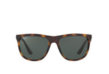 Ray-Ban 4251I Sunglass