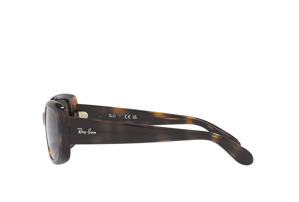 Ray-Ban 4389 Sunglass