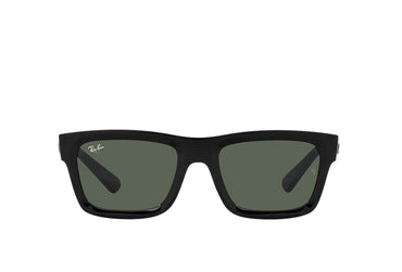 Ray-Ban 4396 Sunglass