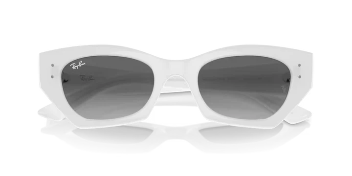 Ray-Ban 4430 Sunglass