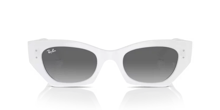 Ray-Ban 4430 Sunglass