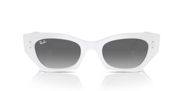 Ray-Ban 4430 Sunglass