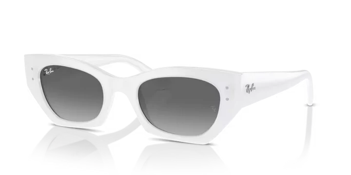 Ray-Ban 4430 Sunglass