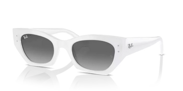 Ray-Ban 4430 Sunglass