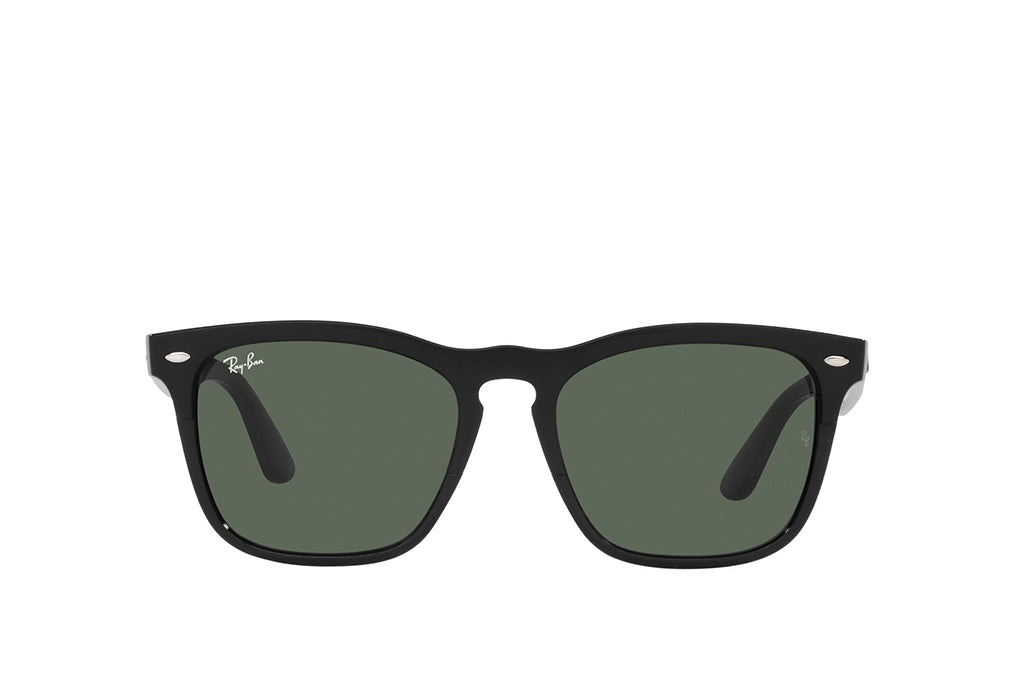 Ray-Ban 4487 Sunglass