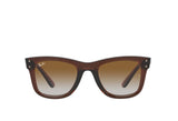 Ray-Ban 0502S Sunglass