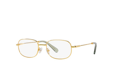 Swarovski 1005 Spectacle