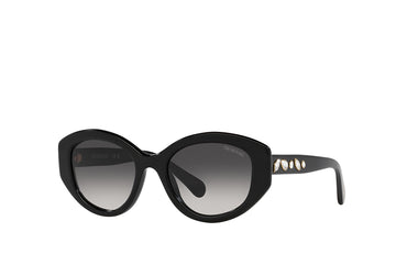 Swarovski 6005 Sunglass