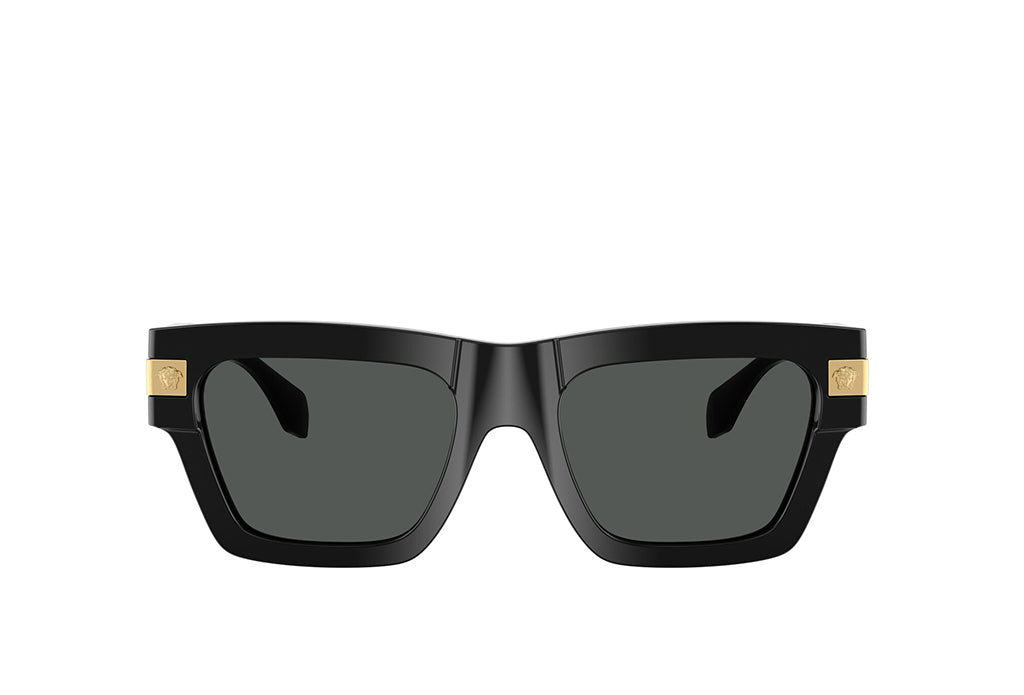 Versace 4464 Sunglass