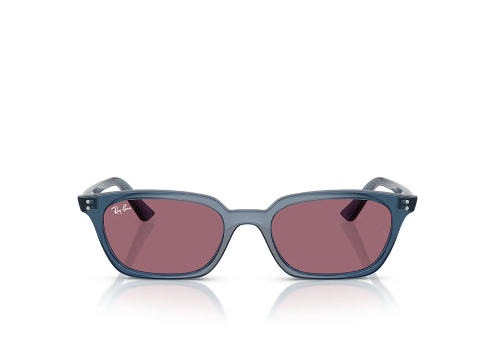 Ray-Ban 4456 Sunglass
