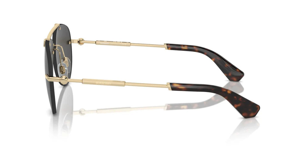Burberry 3151 Sunglass