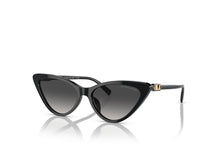 Load image into Gallery viewer, Michael Kors 2195U Sunglass
