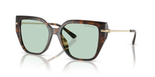 Load image into Gallery viewer, Michael Kors 0MK 2231U Sunglass