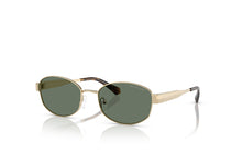 Load image into Gallery viewer, Michael Kors 1161 Sunglass