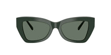 Load image into Gallery viewer, Michael Kors 0MK 2205 Sunglass
