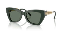 Load image into Gallery viewer, Michael Kors 0MK 2205 Sunglass