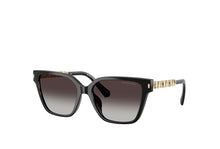 Load image into Gallery viewer, Michael Kors 2263U Sunglass