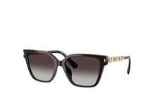 Load image into Gallery viewer, Michael Kors 2263U Sunglass