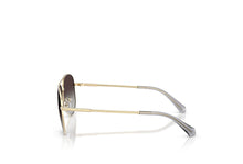 Load image into Gallery viewer, Michael Kors 1172 Sunglass