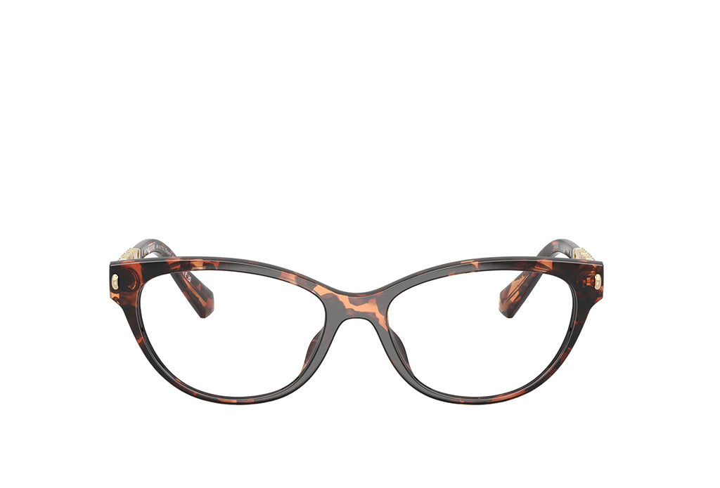 Michael Kors 4171U Spectacle