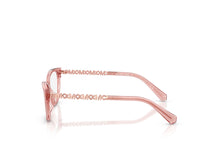 Load image into Gallery viewer, Michael Kors 4171U Spectacle