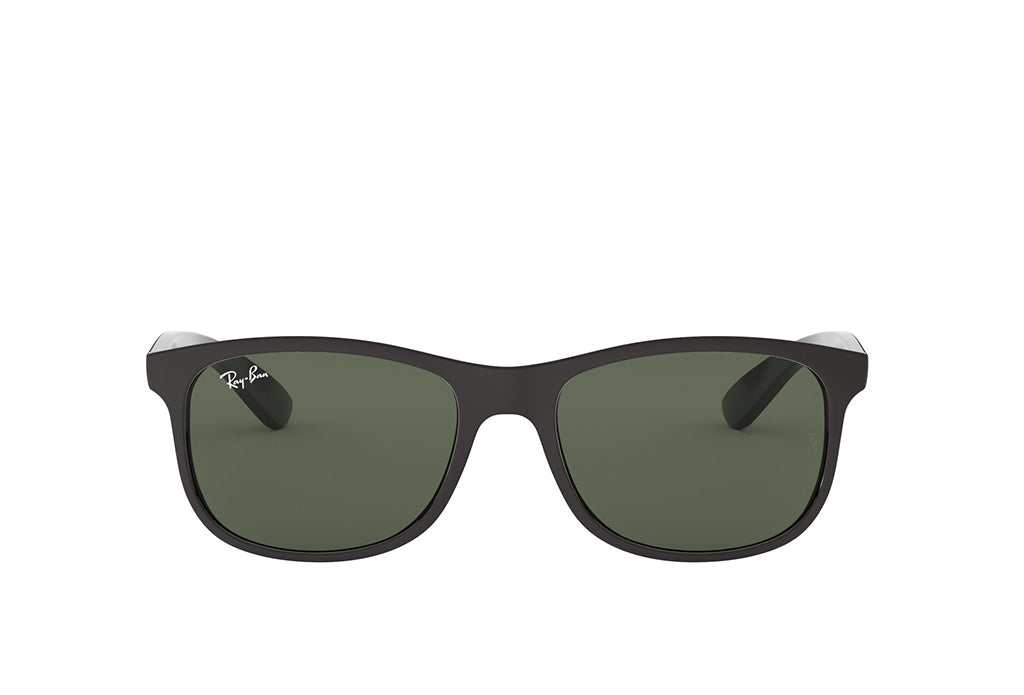 Ray-Ban 4202 Sunglass