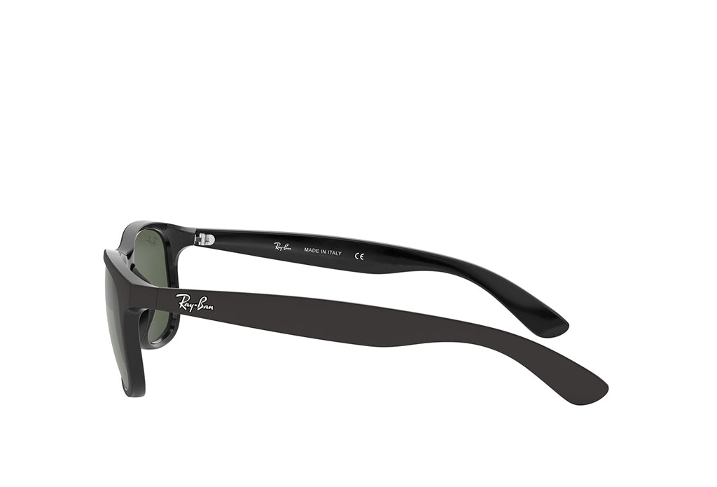 Ray-Ban 4202 Sunglass