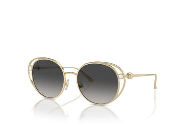 Jimmy Choo 4003HB Sunglass