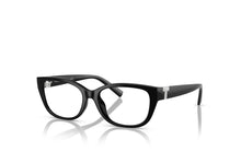 Load image into Gallery viewer, Tiffany &amp; Co. 2254BU Spectacle