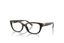 Load image into Gallery viewer, Tiffany &amp; Co. 2254BU Spectacle